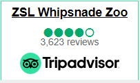 Tripadvisor