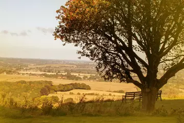 View of Chiltern Downs from Whipsnade Zoo