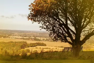 View from the hill at Whipsnade Zoo looking out at fields and trees