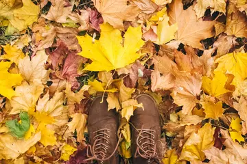 A person looking down at their boots standing on autumn coloured leaves 