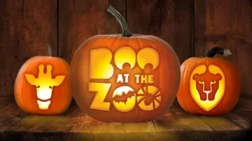 Boo at the Zoo