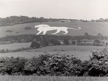 Whipsnade chalk white lion