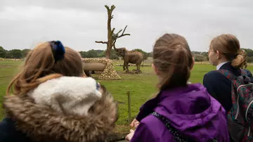 School children looking at elephants at Whipsnade Zoo