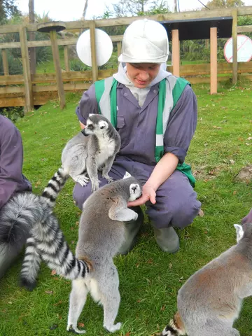 Pupil referral unit student with lemurs at Whipsnade Zoo