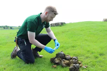 Elephant dung being tested at Whipsnade Zoo