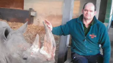 Craig White with white rhino female Tuli circa 2015