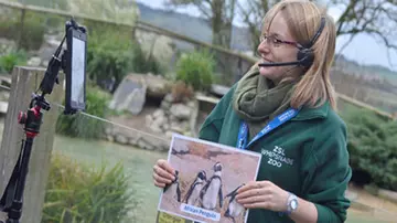 Feeding and Food Chains Outreach Session