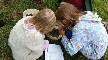 School Children During Minibeast Workshop