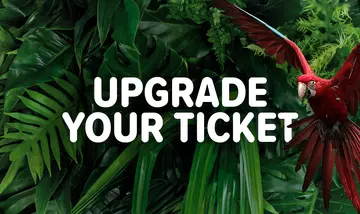 Upgrade your ticket for membership