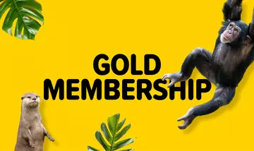 Whipsnade Zoo Gold Membership