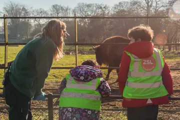 Presenter speaks to students from Zoo Explorers about Bison