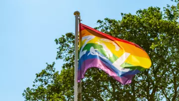 Pride flag flying with tree and blue sky in the background