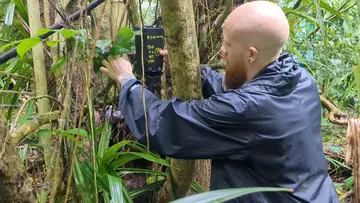 Zookeeper Tyrone releases Partula snails