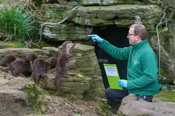 Zookeeper James Ford adds Asian shot clawed otters to the Whipsnade stocktake 