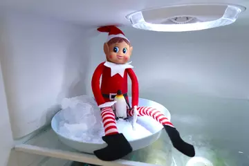 elf on the shelf in the fridge with a penguin