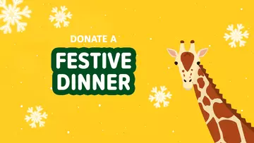 Donate a festive dinner