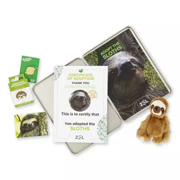 Sloth Adoption Pack