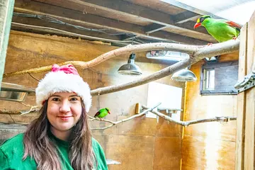 Keeper Alex Johnson wearing a Santa hat with two green birds in the background