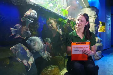 Lauren Johnson counts critically endangered Mangarahara Cichlid for Whipsnade Zoo annual stocktake 2025