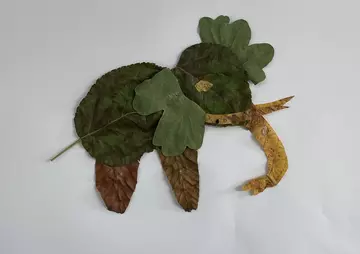 Elephant made from leaves