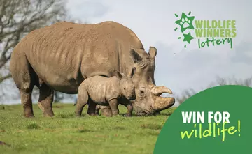 Wildlife Winners Lottery