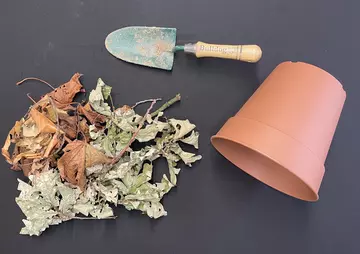 Leaves, terracotta pot, and trowel 