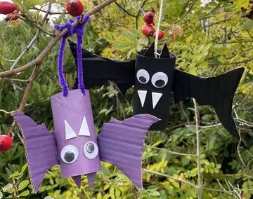 Bat tubes made from toilet rollls