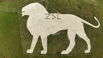 Volunteers spell out ZSL on the Whipsnade chalk white lion 