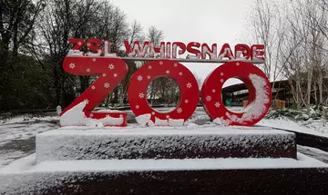 A red Whipsnade Zoo sign in the snow