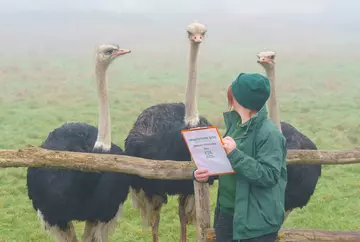 Corrine Millar takes count of ostriches at Whipsnade Zoo 2026 Annual Stocktake
