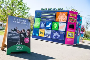 A colourful exhibition in the grounds of Whipsnade Zoo highlighting ZSL's history