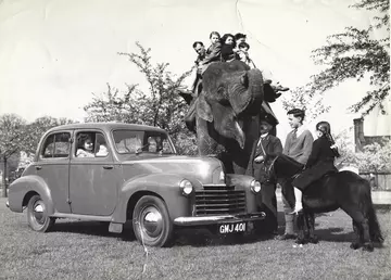 A black and white photograph of a child riding a pony next to an elephant with people riding it and a car