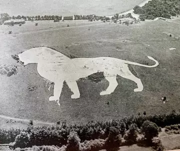 A black and white photograph of the Whipsnade White Lion
