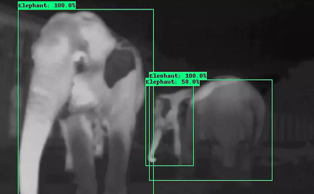 Elephant identification tech, being developed at Whipsnade Zoo for elephant conservation