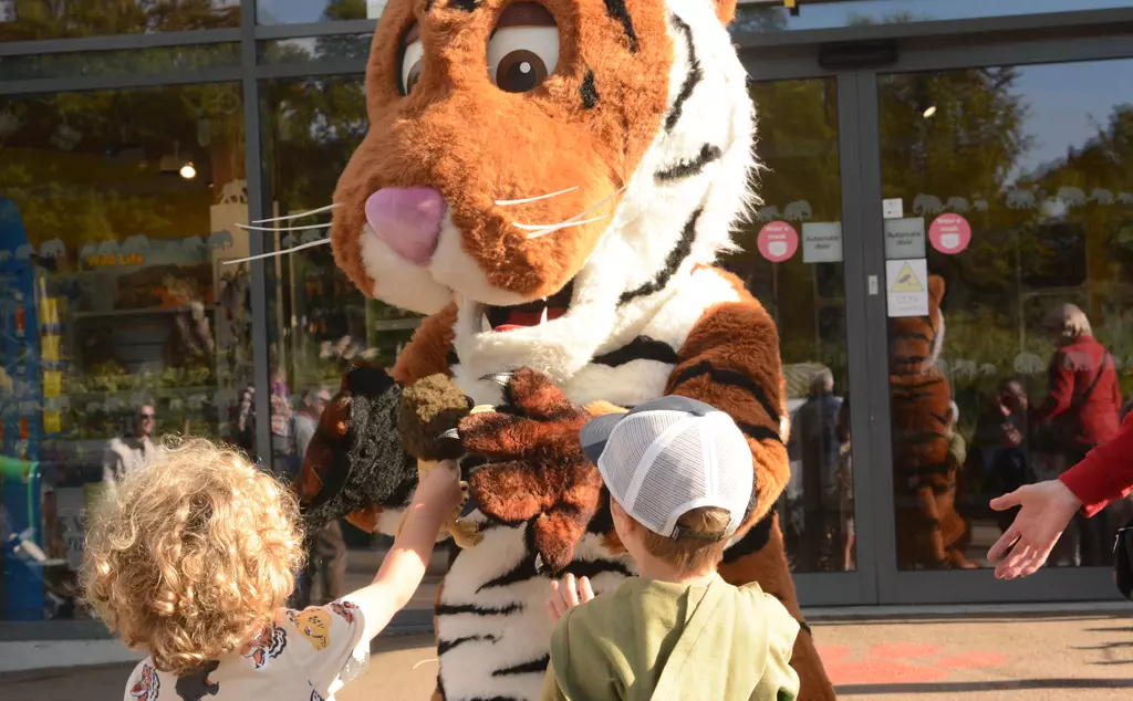 Whipsnade corporate engagement tiger costume