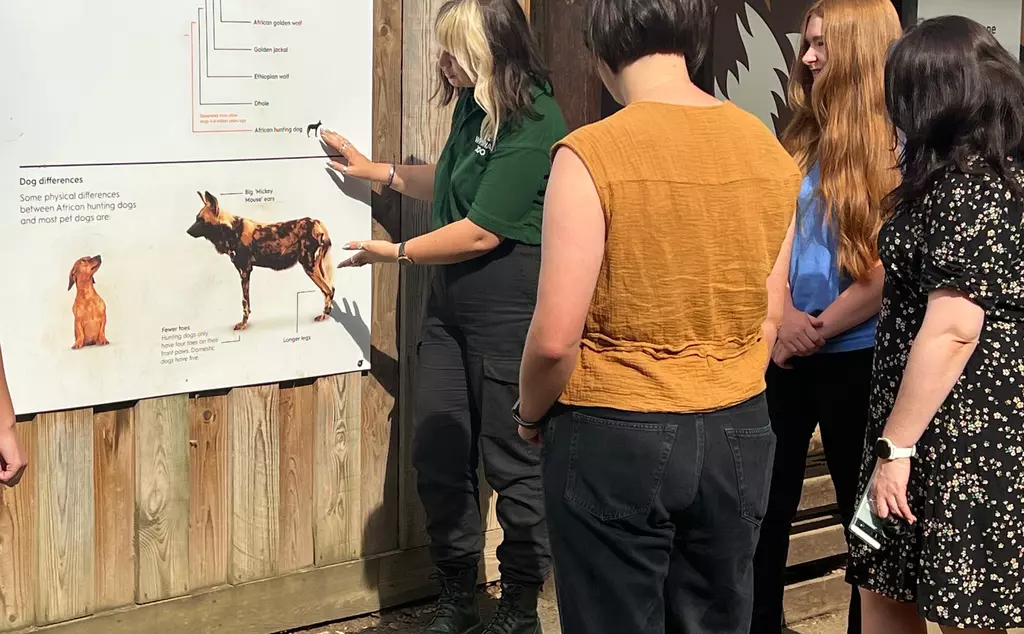 Teachers and a member of Whipsnade staff looking at hunting dog signage