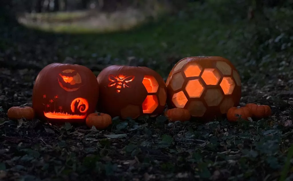 Three carved pumpkins showing bats, a cat and a bee glowing at night