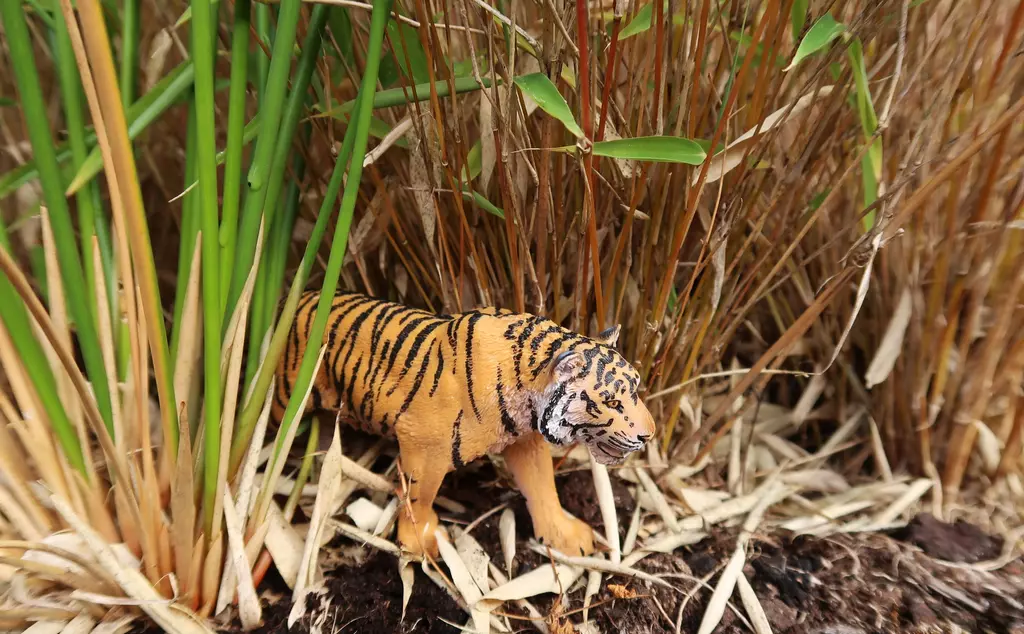 toy tiger in long grass