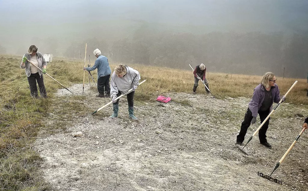 A group of volunteers clearing the Whipsnade White Lion by hand