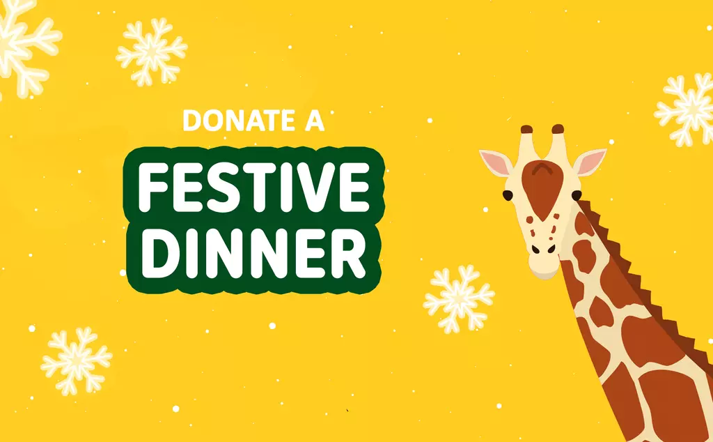 Donate a festive dinner giraffe