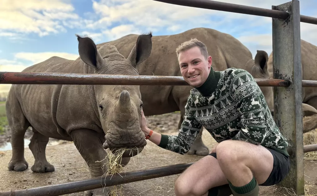 Keeper Alex wearing a Christmas jumper posing next to rhino calf Benja