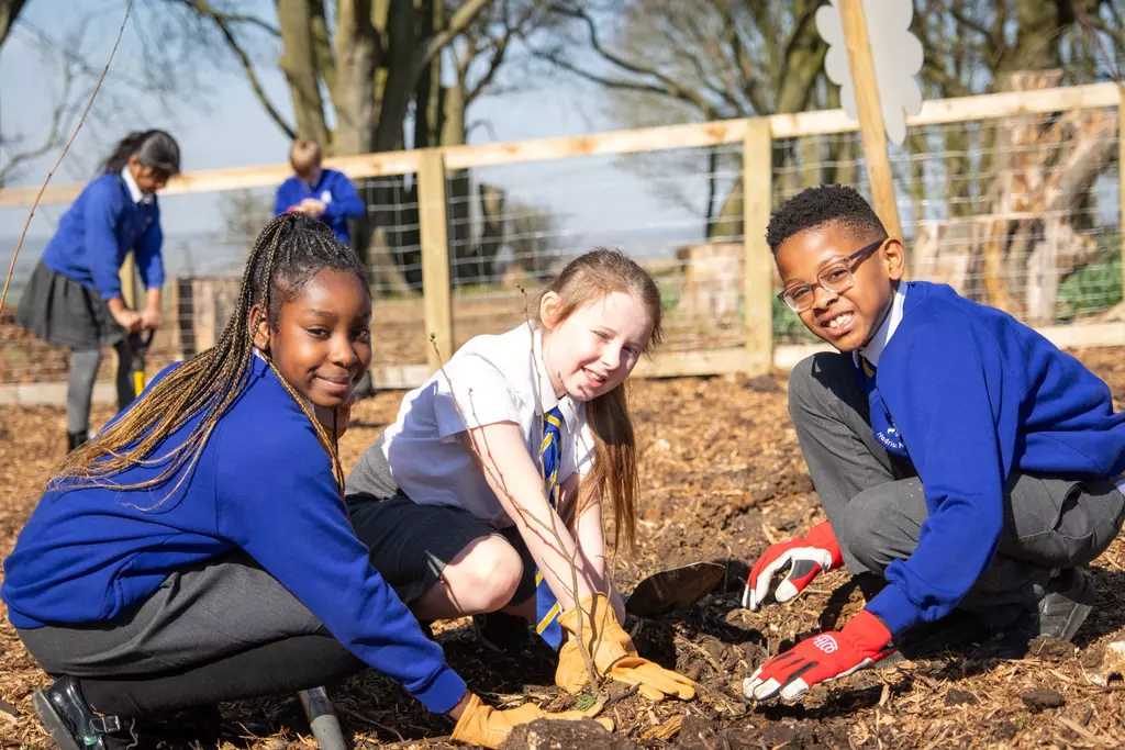 The children worked together to plant the Tiny Forest 