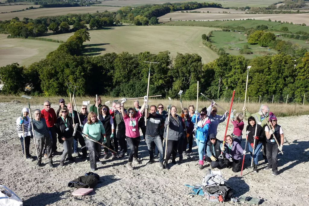 White lion volunteers with raised rakes