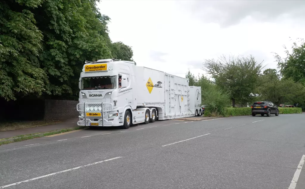 The specialist transport lorries leaving Whipsnade Zoo 