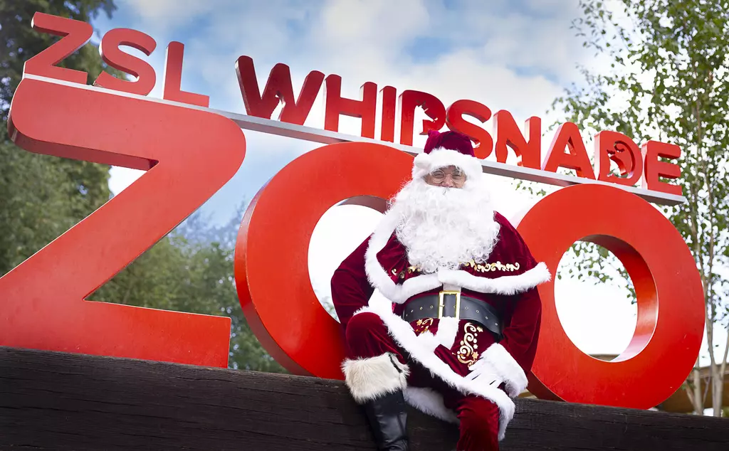 Santa sits and poses in front of the red Whipsnade Zoo sign