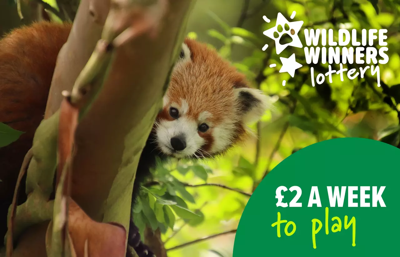 Wildlife Winners Lottery