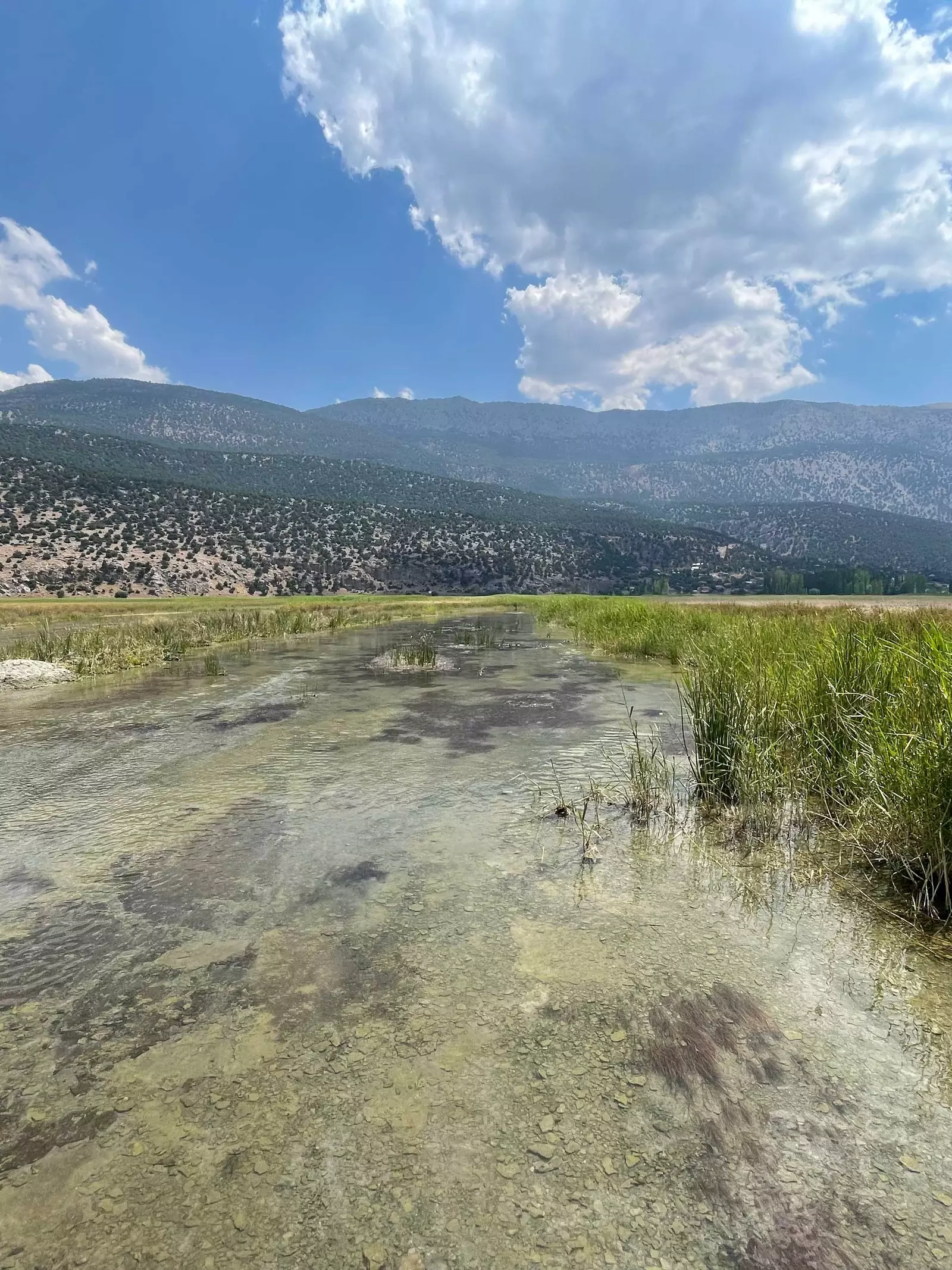 Lake Acigol fish habitat in Turkey, Whipsnade Zoo field conservation