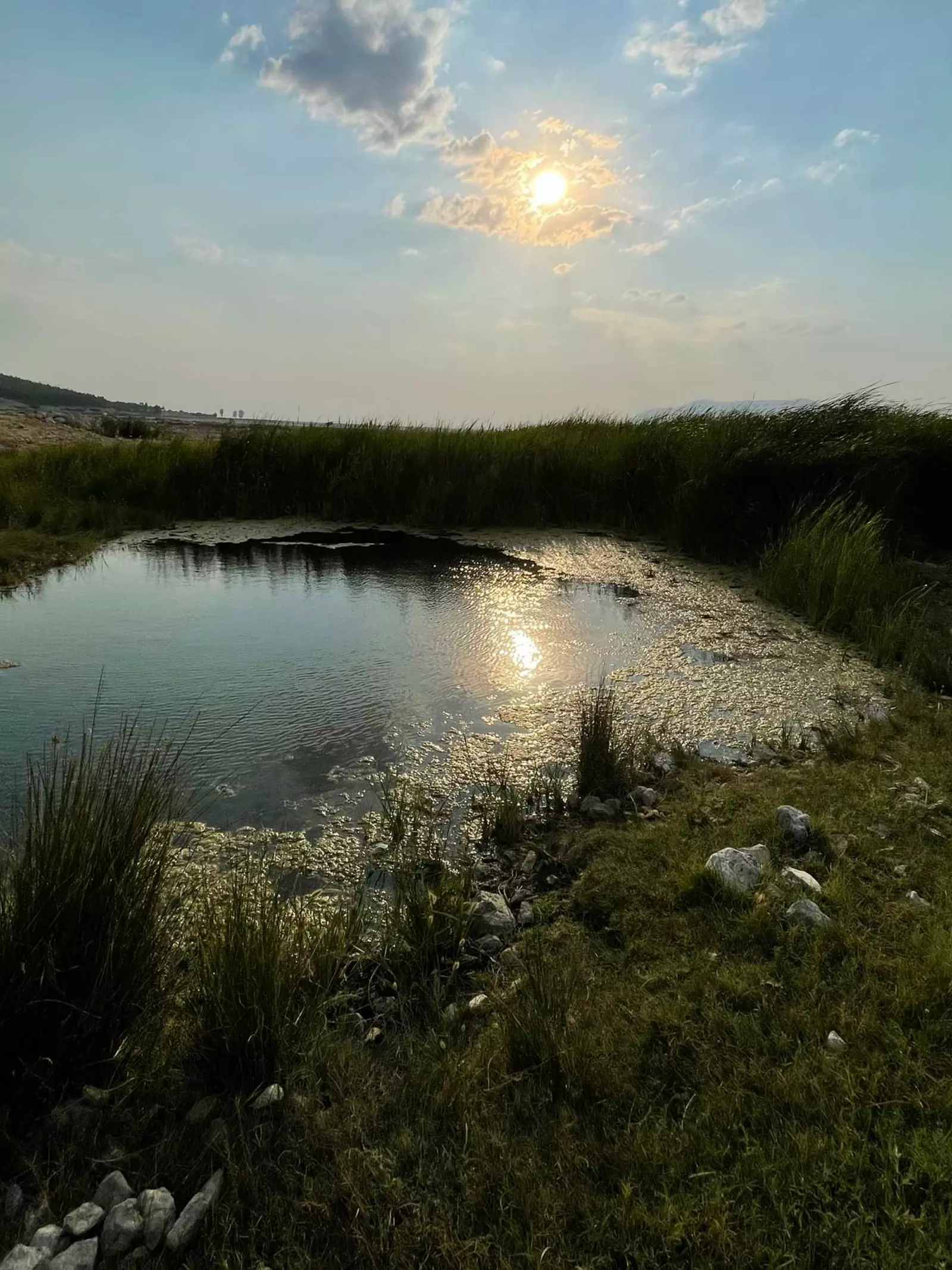 Spring in Lake Acıgöl with sunsetting