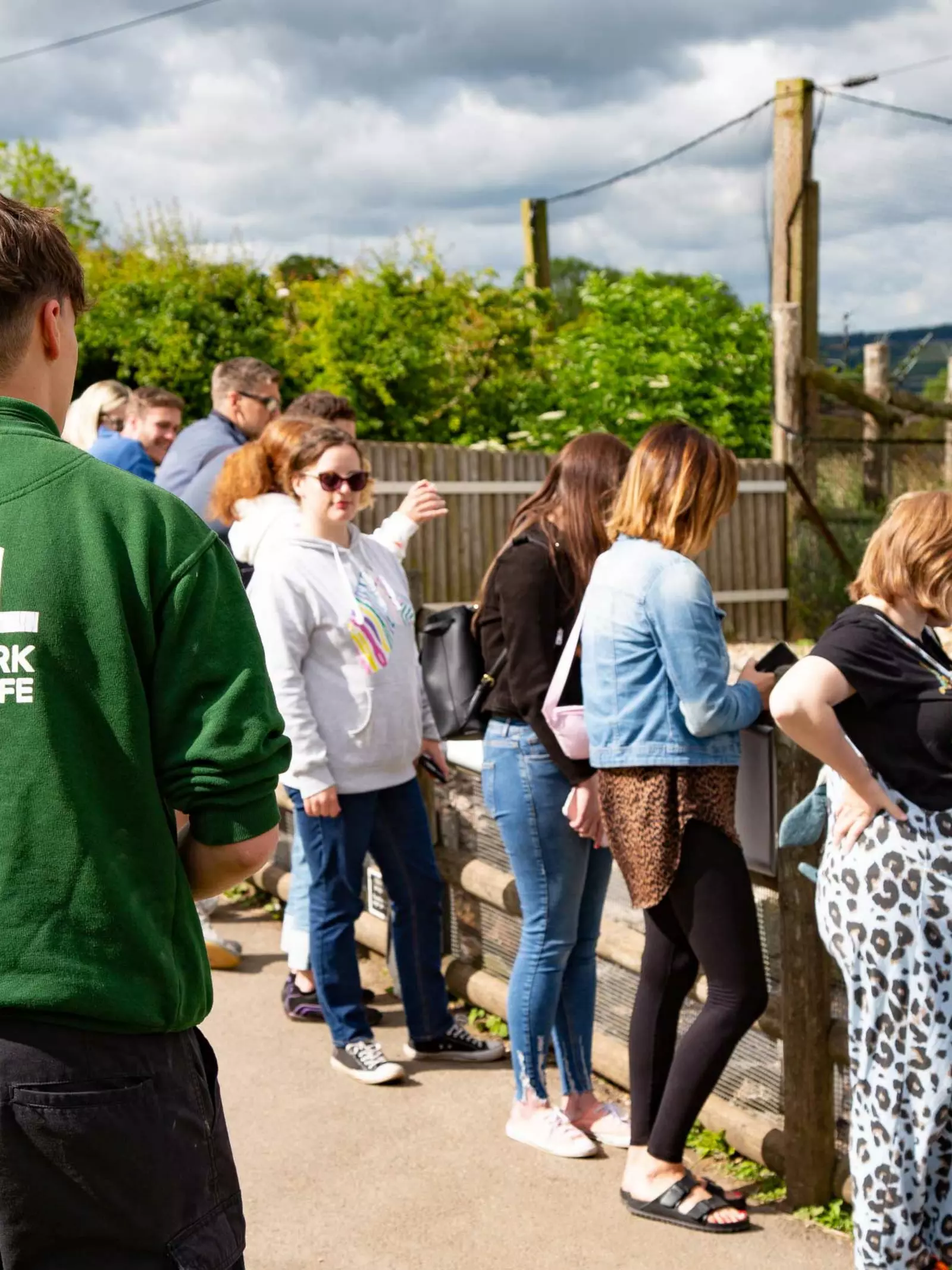 Tours at Lookout Lodge by penguins at Whipsnade Zoo
