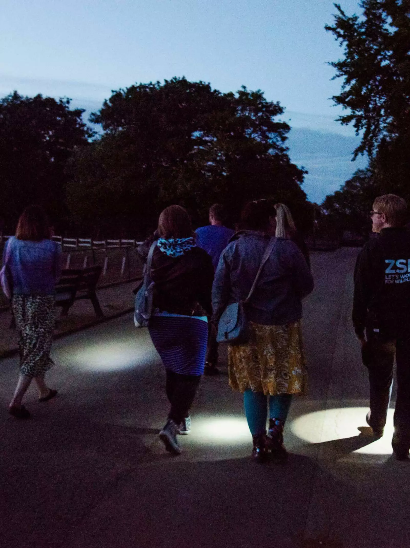 Torchlight walk at Lookout Lodge experience Whipsnade Zoo